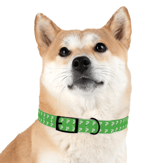 Custom Dog Collar