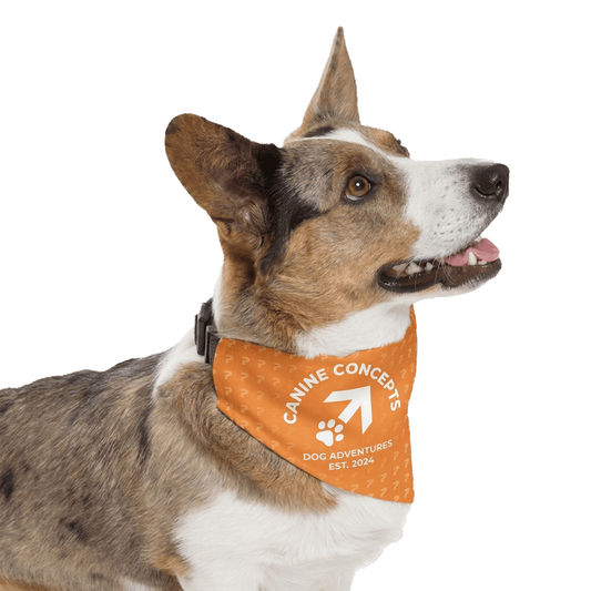 Custom Pet Bandana Collar